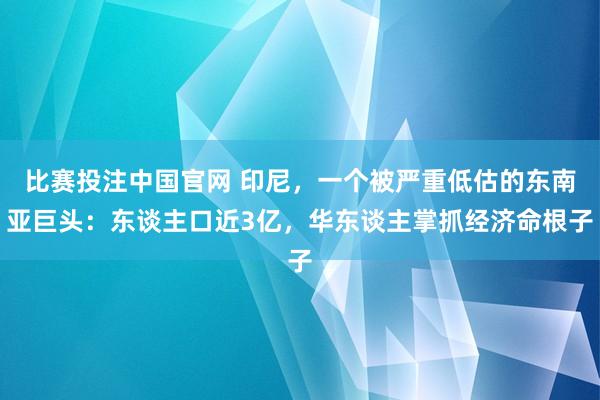 比赛投注中国官网 印尼，一个被严重低估的东南亚巨头：东谈主口近3亿，华东谈主掌抓经济命根子